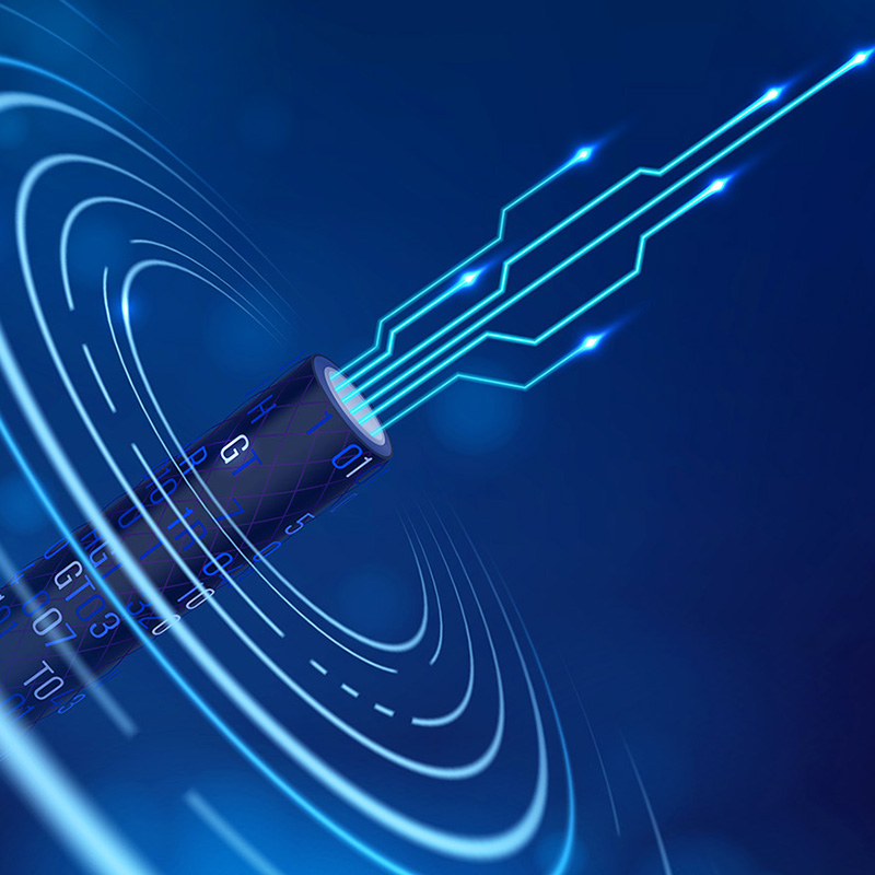 Lianou Electric trưng bày các sản phẩm sáng tạo tại Triển lãm Điện quốc tế, dẫn đầu xu hướng xanh